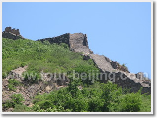 Beijing Beidaihe 3 Day Bird Watching Tour